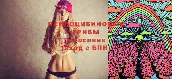 винт Алексин