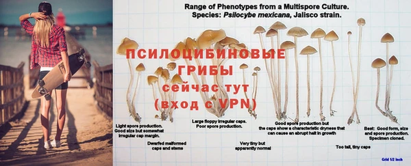 винт Алексин