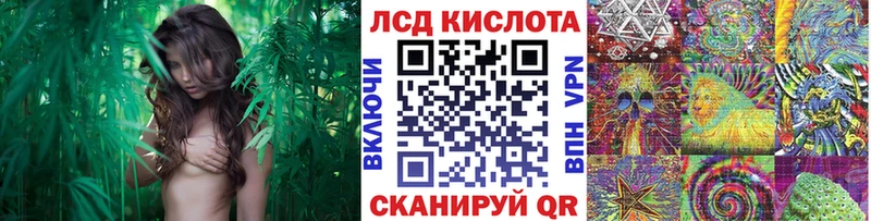 мега зеркало Пущино Марки N-bome 1500мкг